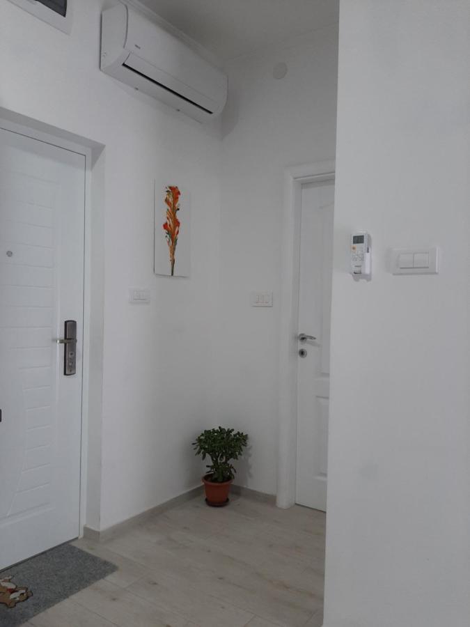 Apartments Ogurlic Херцег Нови Екстериор снимка